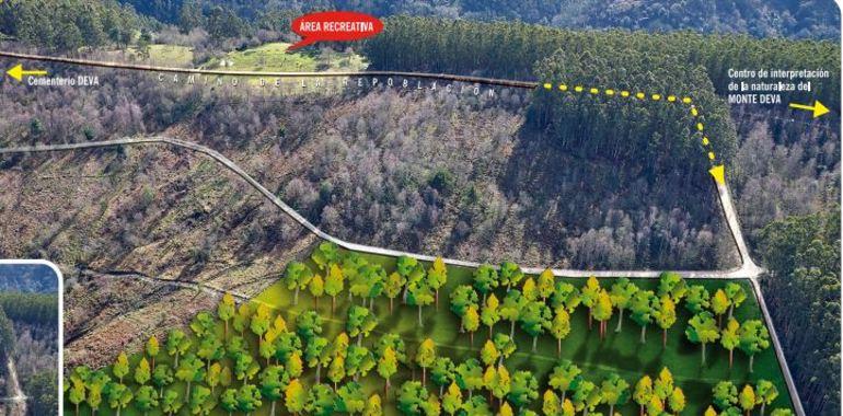 El nuevo bosque de Deva, en Gijón, será realidad el sábado
