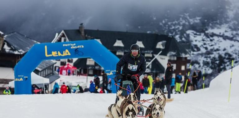 Trail Blanco y Trofeo de Mushing compitiendo por Valgrande-Pajares