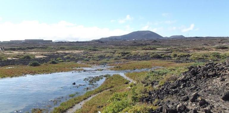 Una investigación de la Universidad de Oviedo ayuda a proteger el patrimonio natural de Fuerteventura 