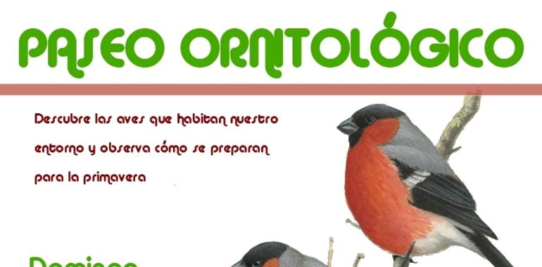 Paseo ornitológico el domingo por el parque Pura Tomás de Oviedo