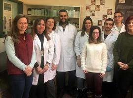 Hallazgo de la ULE permite inactivar la bacteria salmonella
