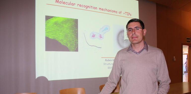 El Centro del Cáncer investiga proteínas que pueden ser clave como dianas terapéuticas