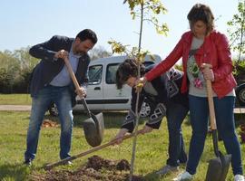 Plantaciones y juegos para la Semana del Árbol en Oviedo