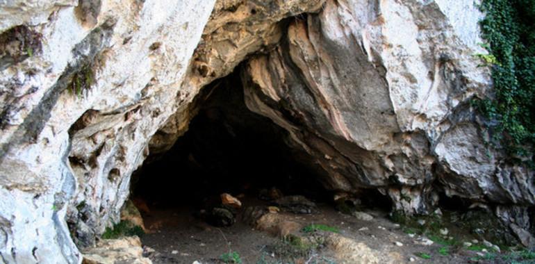 Neandertales y ‘sapiens’ socializaron apenas mil años en Asturias