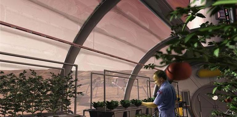 El CSIC desvela los efectos de la gravedad de Marte en el crecimiento de las plantas