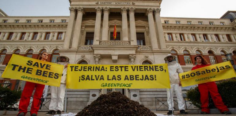 Greenpeace arroja 20 kilos de abejas muertas frente al Ministerio de Agricultura