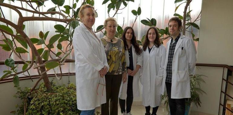 #UniOvi coordina un libro sobre investigaciones con helechos para distintas ciencias