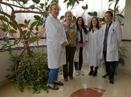 #UniOvi coordina un libro sobre investigaciones con helechos para distintas ciencias