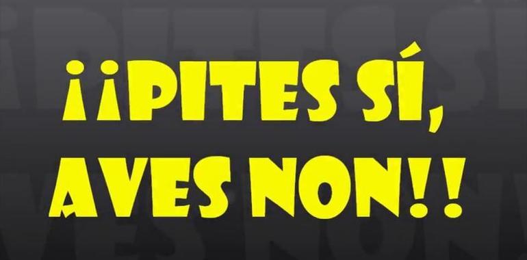 El CP Felechosa lleva a escena ¡¡Pites sí, aves non!!