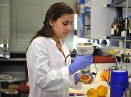El CSIC oferta 200 becas JAE Intro de iniciación a la investigación
