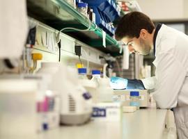 La brecha entre las necesidades y la investigación, analizada por el Observatorio Social “la Caixa”