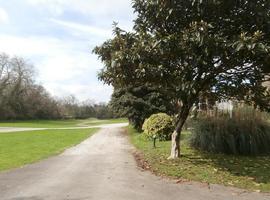 El futuro del banco de Germoplasma del Jardín Botánico Atlántico de Gijón en peligro