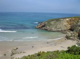 Jornada de educación y voluntariado en la playa de Peñarronda para el Día Europeo de Red Natura