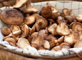 La Casa de Cultura de Nueva, en Llanes, abre un taller de Micogastronomía