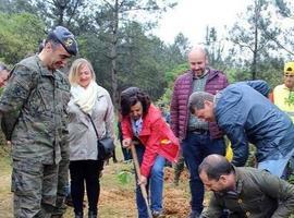 El Gobierno declara zona de interés para la Defensa el Cabo Noval