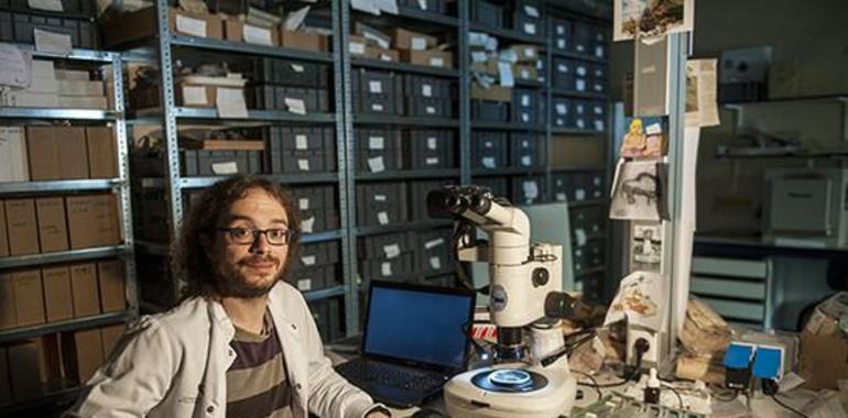 A los neandertales cantábricos les gustaba la cuarcita