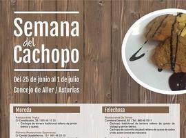 Semana de cachopos en Aller