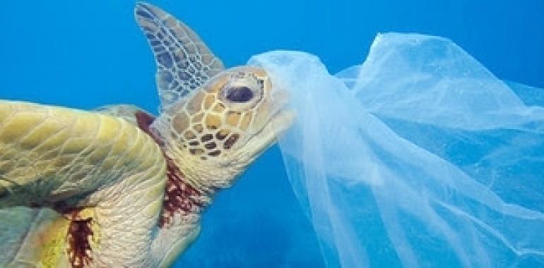 Alianza contra las bolsas de plástico