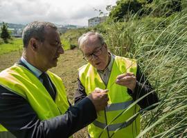 Asturias declara la guerra total al 'plumeru de la Pampa'