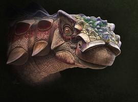 Hallada una nueva especie de dinosaurio con armadura