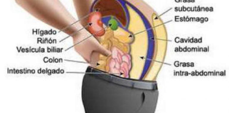 Un gen asociado a delgadez aumenta la enfermedad cardiovascular y la diabetes tipo 2