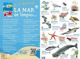 La Fundación Oxígeno se va a la playa