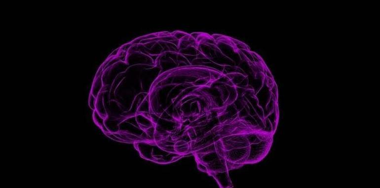 Descubren una proteína clave en el desarrollo del autismo