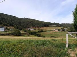 La Coordinadora Ecologista alega contra el proyecto minero de Naraido, en Abres
