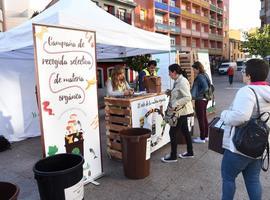 La mitad de las familias de Candás ya separan residuos orgánicos mediante el cubo marrón
