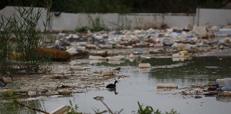 Greenpeace desconfía del compromiso global de plásticos de grandes compañías