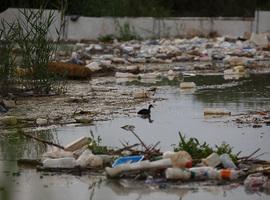 Greenpeace desconfía del compromiso global de plásticos de grandes compañías