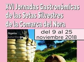 Las setas salvajes 'toman' la comarca del Nora
