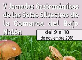 Jornadas de las Setas Silvestres desde hoy en el Bajo Nalón