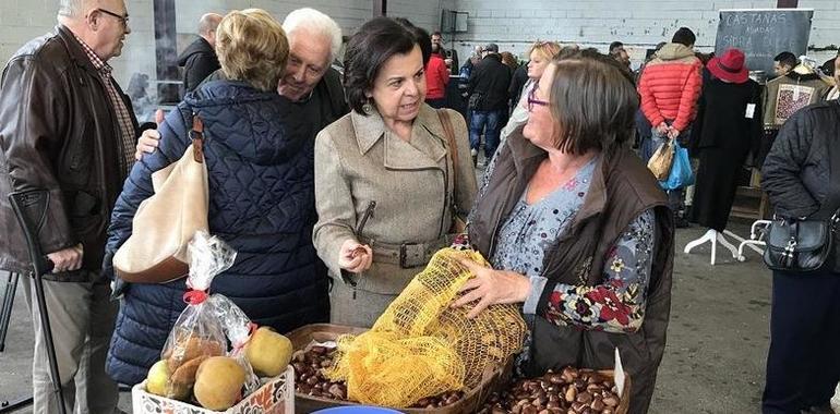 100.000 euros para mejora de accesos a pastos en Las Regueras