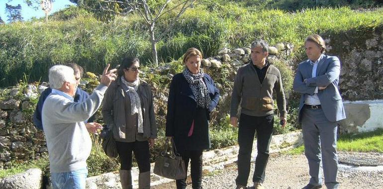 La Alcaldesa de Llanes visita las obras de saneamiento del Barrio de La Nogalera, en Nueva