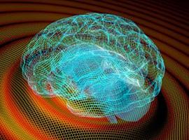 El grafeno abre ventanas a los abismos del cerebro