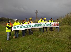 La Plataforma por la Recuperación de las Marismas de Maqua reclama la restauración urgente del humedal 