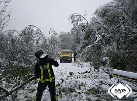 La previsión de nieve en Asturias baja a los 600 metros en el centro y cuencas 