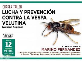 Mieres instala 120 trampas contra la Vespa Velutina