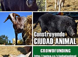 'Ciudad Animal': sólo 6 días para finalizar el crowdfunding