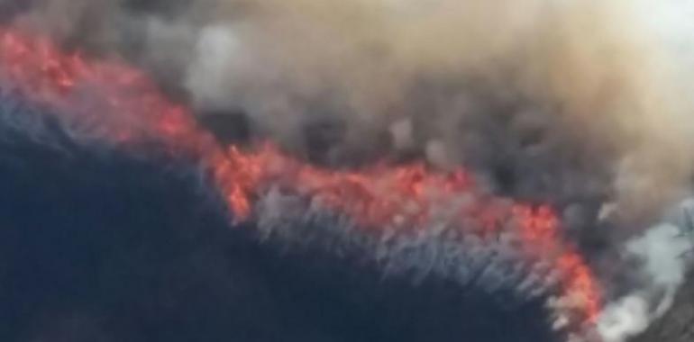 La Coordinadora Ecoloxista vuelve a reclamar que la lucha contra los incendios está en la prevención