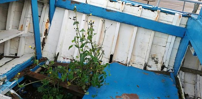 Denuncian que las lanchas turísticas de L