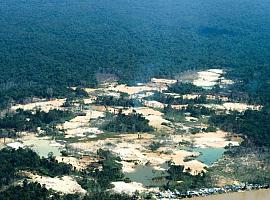 Miles de buscadores de oro invaden el territorio yanomami