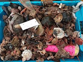 La basura invade las redes de pesca en las áreas cercanas a las ciudades