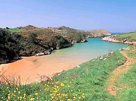 Resultados de Calidad de las aguas playas de Llanes del 30 de agosto