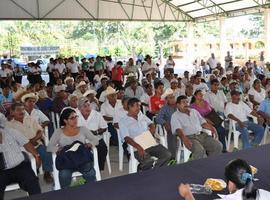 Espaldarazo a los productores oaxaqueños de zapote mamey