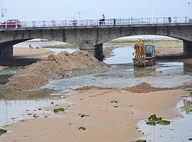 Gijón encarga análisis sobre la pudrición de algas en el río Piles