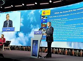 Nueve nuevas áreas marinas protegidas antes de 2024