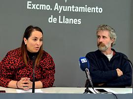 Jóvenes llaniscos en 'guerra' con la avispa asiática