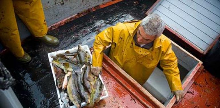 Canarias recomienda no consumir pescado de las zonas afectadas por la erupción volcánica